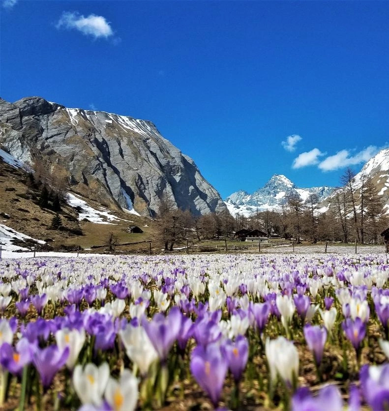 Gran Paradiso